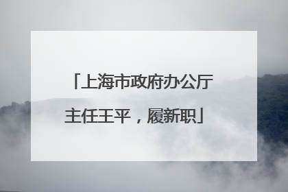 上海市政府办公厅主任王平，履新职