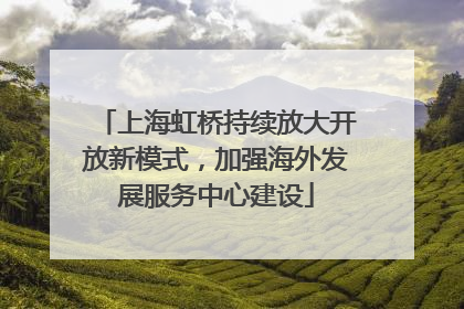 上海虹桥持续放大开放新模式，加强海外发展服务中心建设