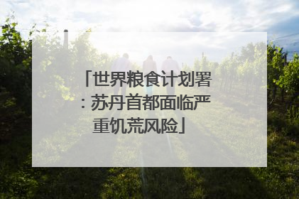 世界粮食计划署：苏丹首都面临严重饥荒风险