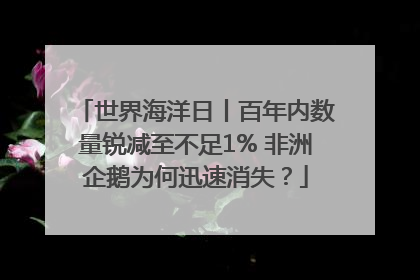 世界海洋日丨百年内数量锐减至不足1% 非洲企鹅为何迅速消失？