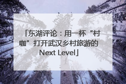 东湖评论：用一杯“村咖”打开武汉乡村旅游的Next Level