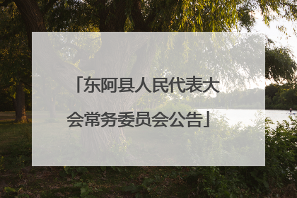 东阿县人民代表大会常务委员会公告