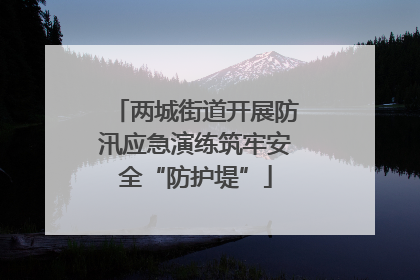 两城街道开展防汛应急演练筑牢安全“防护堤”
