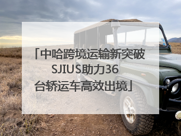 中哈跨境运输新突破 SJIUS助力36台轿运车高效出境