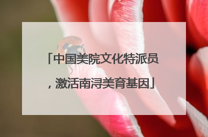 中国美院文化特派员，激活南浔美育基因