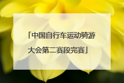 中国自行车运动骑游大会第二赛段完赛