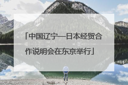 中国辽宁—日本经贸合作说明会在东京举行