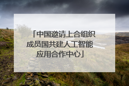 中国邀请上合组织成员国共建人工智能应用合作中心
