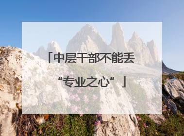 中层干部不能丢“专业之心”