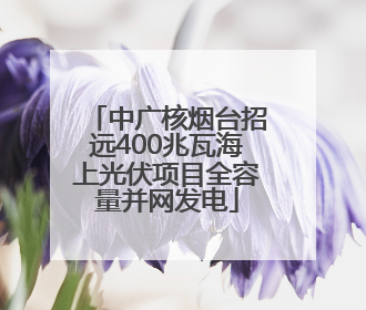 中广核烟台招远400兆瓦海上光伏项目全容量并网发电