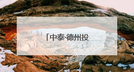中泰·德州投资贸易暨法律服务交流会举行
