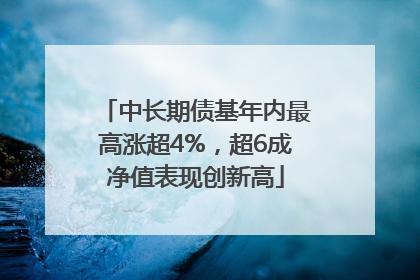 中长期债基年内最高涨超4%，超6成净值表现创新高