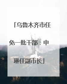 乌鲁木齐市任免一批干部：申琳任副市长