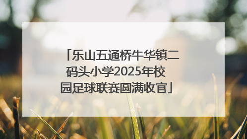 乐山五通桥牛华镇二码头小学2025年校园足球联赛圆满收官
