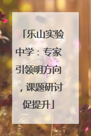 乐山实验中学：专家引领明方向，课题研讨促提升