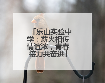 乐山实验中学：薪火相传情谊浓，青春接力共奋进