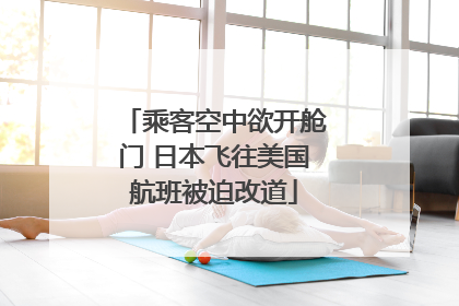 乘客空中欲开舱门 日本飞往美国航班被迫改道