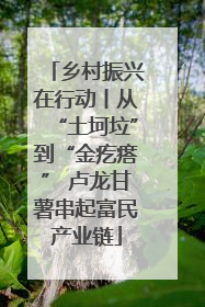 乡村振兴在行动丨从“土坷垃”到“金疙瘩” 卢龙甘薯串起富民产业链
