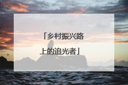 乡村振兴路上的追光者