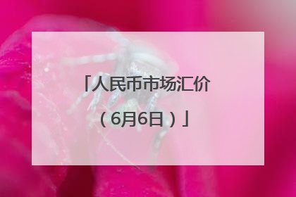 人民币市场汇价（6月6日）