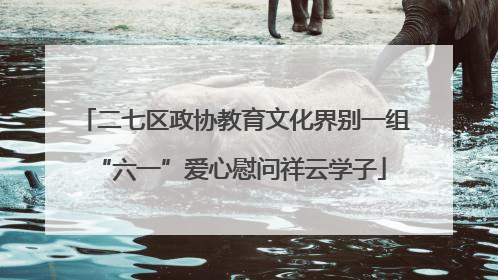 二七区政协教育文化界别一组 “六一”爱心慰问祥云学子
