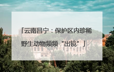 云南昌宁：保护区内珍稀野生动物频频“出镜”