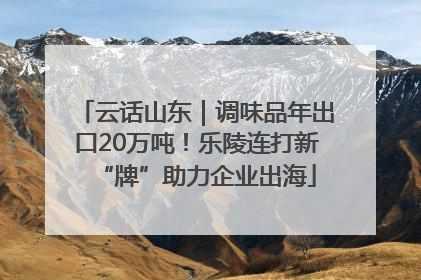 云话山东｜调味品年出口20万吨！乐陵连打新“牌”助力企业出海