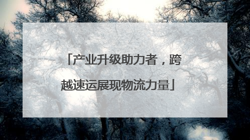 产业升级助力者，跨越速运展现物流力量