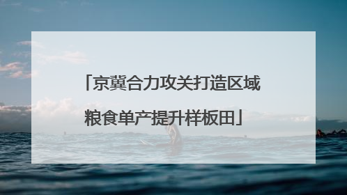 京冀合力攻关打造区域粮食单产提升样板田