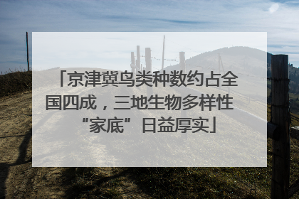 京津冀鸟类种数约占全国四成，三地生物多样性“家底”日益厚实