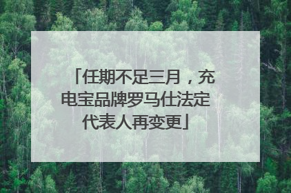 任期不足三月，充电宝品牌罗马仕法定代表人再变更