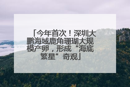 今年首次！深圳大鹏海域鹿角珊瑚大规模产卵，形成“海底繁星”奇观
