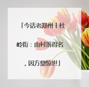 今话老郑州丨杜岭街：由村落得名，因方鼎惊世
