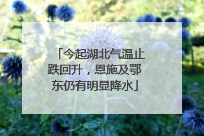 今起湖北气温止跌回升，恩施及鄂东仍有明显降水