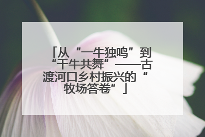 从“一牛独鸣”到“千牛共舞”——古渡河口乡村振兴的“牧场答卷”