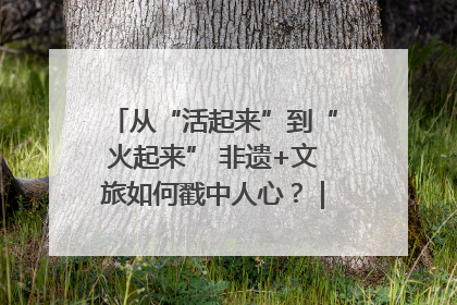 从“活起来”到“火起来” 非遗+文旅如何戳中人心？｜文旅融合看四川