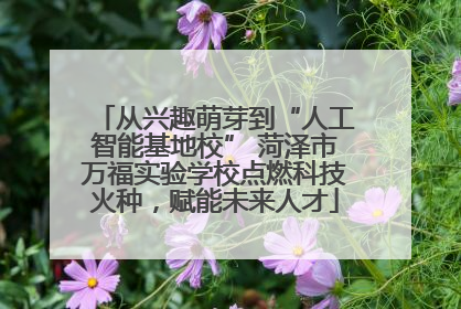从兴趣萌芽到“人工智能基地校” 菏泽市万福实验学校点燃科技火种，赋能未来人才