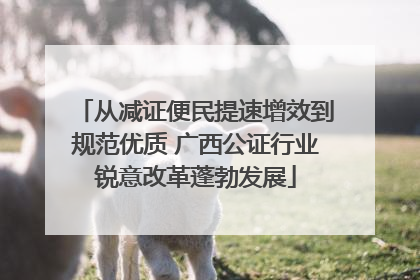 从减证便民提速增效到规范优质 广西公证行业锐意改革蓬勃发展