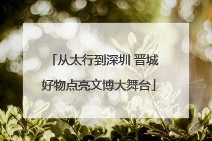 从太行到深圳 晋城好物点亮文博大舞台