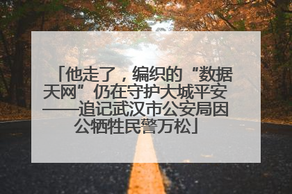 他走了，编织的“数据天网”仍在守护大城平安——追记武汉市公安局因公牺牲民警万松