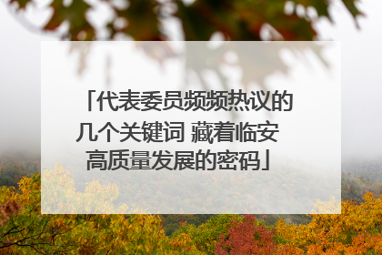 代表委员频频热议的几个关键词 藏着临安高质量发展的密码