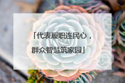 代表履职连民心，群众智慧筑家园
