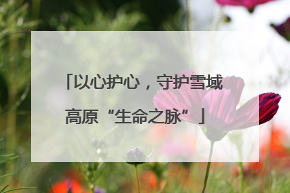 以心护心，守护雪域高原“生命之脉”