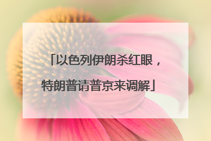 以色列伊朗杀红眼，特朗普请普京来调解