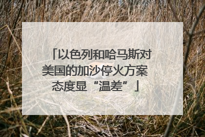 以色列和哈马斯对美国的加沙停火方案态度显“温差”