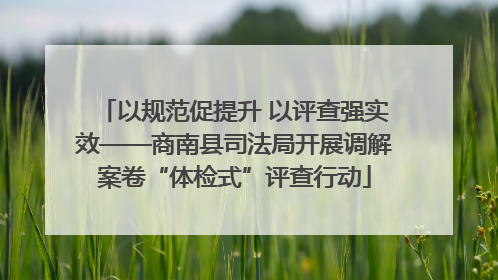 以规范促提升 以评查强实效——商南县司法局开展调解案卷“体检式”评查行动