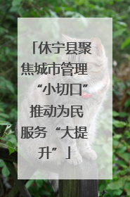 休宁县聚焦城市管理“小切口” 推动为民服务“大提升”