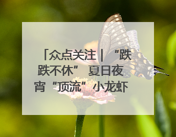 众点关注｜“跌跌不休” 夏日夜宵“顶流”小龙虾价格腰斩 东营人的快乐来了