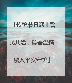 传统节日遇上警民共治，粽香温情融入平安守护