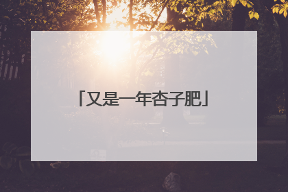 又是一年杏子肥
